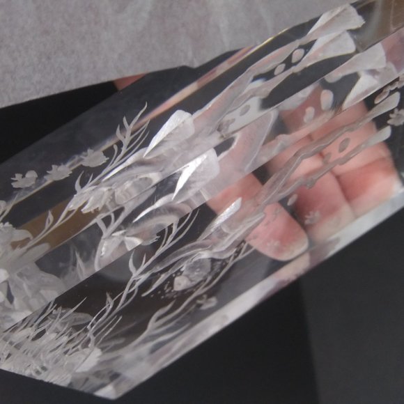 Lucite Reverse Carved Paperweight Sculpture signed Leah underwater scene scuba - Picture 10 of 15